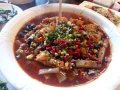 -龙翔山庄雷鸡肉(青城后山泰安古镇店)