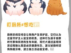 -瑞派·关忠动物医院(国瑞店)