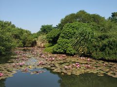 -白沙门生态公园