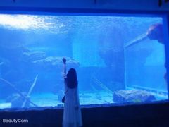 -多彩贵州城极地海洋世界