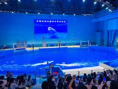 -石家庄极地海洋世界