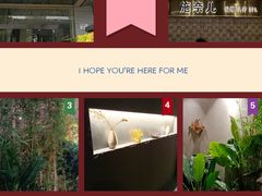 -施奈儿.洗头頭療.按摩SPA.采耳(上梅林店)