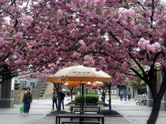 -同济大学(嘉定校区)