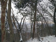 -紫金山天文台