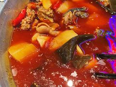 -晓彭肥肠鸡·泡椒鸡火锅(水木天地店)