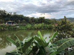 -勐旺傣香园