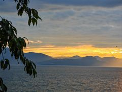 -湖景渔湾