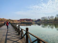 -溱湖国家湿地公园