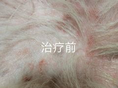 -芭比堂宠物医院·全科爱猫医院·仁德分院