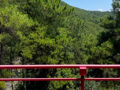 -南山植物园