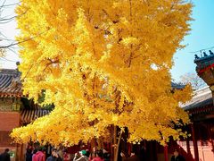 -承恩寺