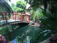-石家庄市植物园