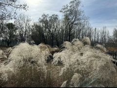 -野鸭湖国家湿地公园