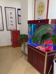 -颐健堂健康管理中心(宝龙店)