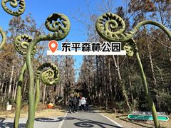 -东平国家森林公园