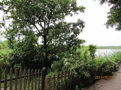 -大湾区中央湿地公园