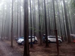 -山王坪喀斯特国家生态公园