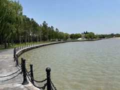 -上海月湖雕塑公园