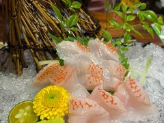 -KITON喜豚(清晖园店)