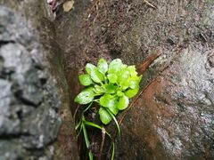 -四洞沟景区