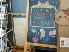 -御宝贝·A梦猫科宠物医院(国际猫友好医院)