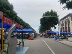 -特克斯八卦城