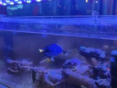 -水碾河刘老大串串香(水碾河路店)
