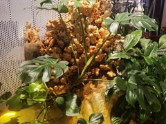 -米喜鱼·烤活鱼(高新万达店)