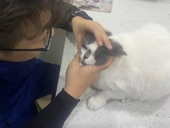 -佳雯宠物医院(金华南路分院)