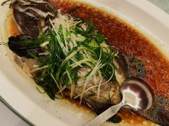 清蒸青斑-稻香酒家·33年老字号·港式粤菜(富邦中心店)