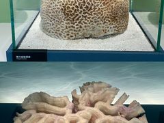 -中国湿地博物馆