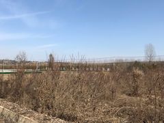 -林间山庄