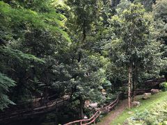 -灵光寺