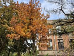 -清华大学-观畴园餐厅