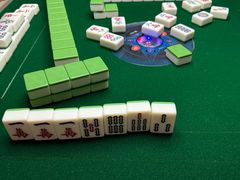 -麓湖国际水疗