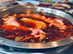 -蜀滋香鲜鱼美蛙火锅(339店)