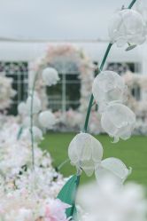 -深白婚纱艺术馆(王府壹号店)