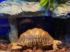 -上海海洋水族馆