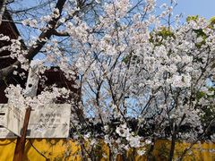 -龙华寺