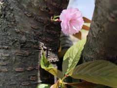-府河摄影公园