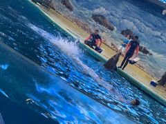 -福州罗源湾海洋世界旅游区