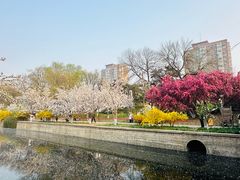 -元大都城垣遗址公园