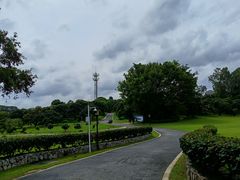 -东莞植物园