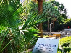 -苏州河梦清园环保主题公园