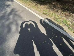 -同里国家湿地公园