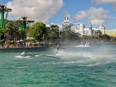 -帝企鹅自助餐厅•儿童岛•真企鹅(长隆企鹅酒店)