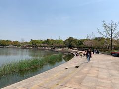 -新江湾城公园