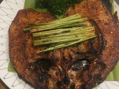-紫滇源云南生态菜(丹凤街店)