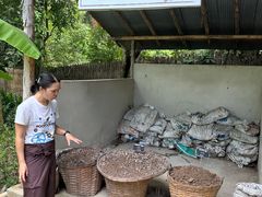 -大象粑粑造纸公园