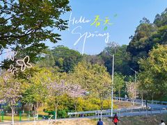 -火炉山森林公园